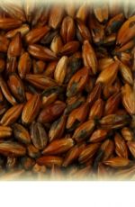 Light Coffee malt 250 EBC Castle 5,0 kg