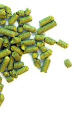 First Gold UK 2020 - 50 g pellets 8,0%