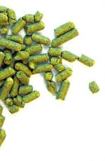 Ahtanum US 2020 - 100 g pellets 3,6%