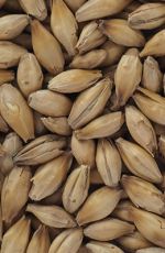 Heavily Peated Malt 3-5 EBC 50 ppm Crisp 1 kg